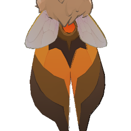 Back_RBee_FigWiz_Craft