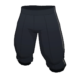 Legs_Z2U1_Wiz