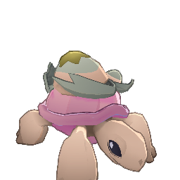 Turtle_Pink